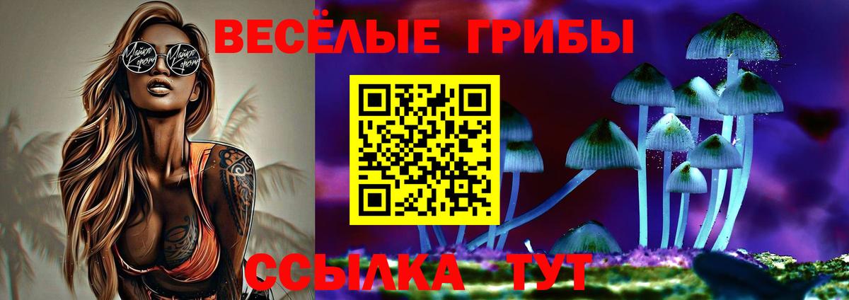 Псилоцибиновые грибы мицелий  Вход с VPN  Елизово 